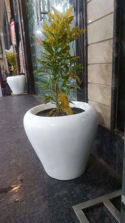Hotel Jhilmil Dhaba Sonipat Exterior foto